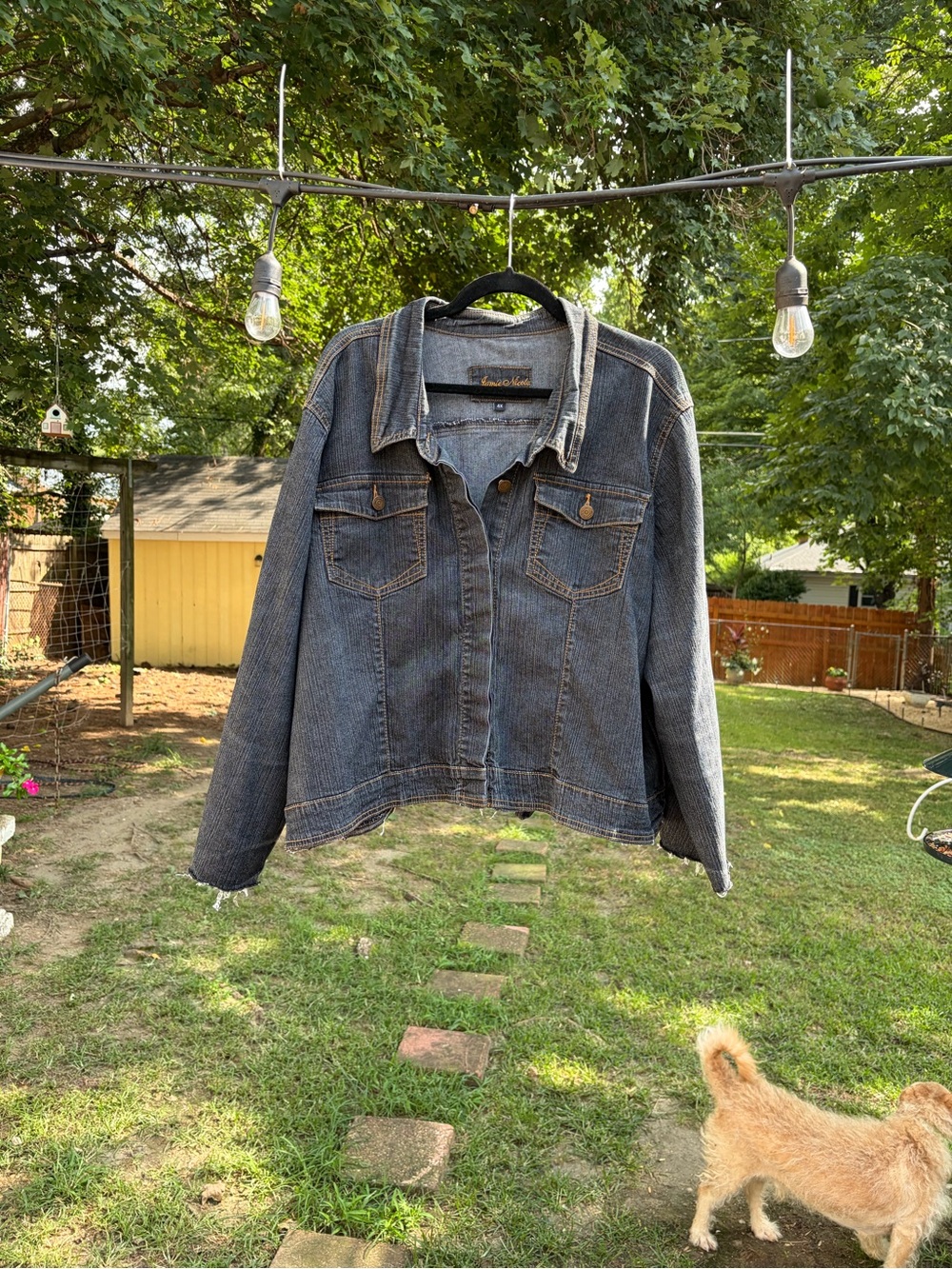 Jamie Nicole 4X Blue Denim Jean Jacket Raw Frayed Cuffs Plus Size Trucker
